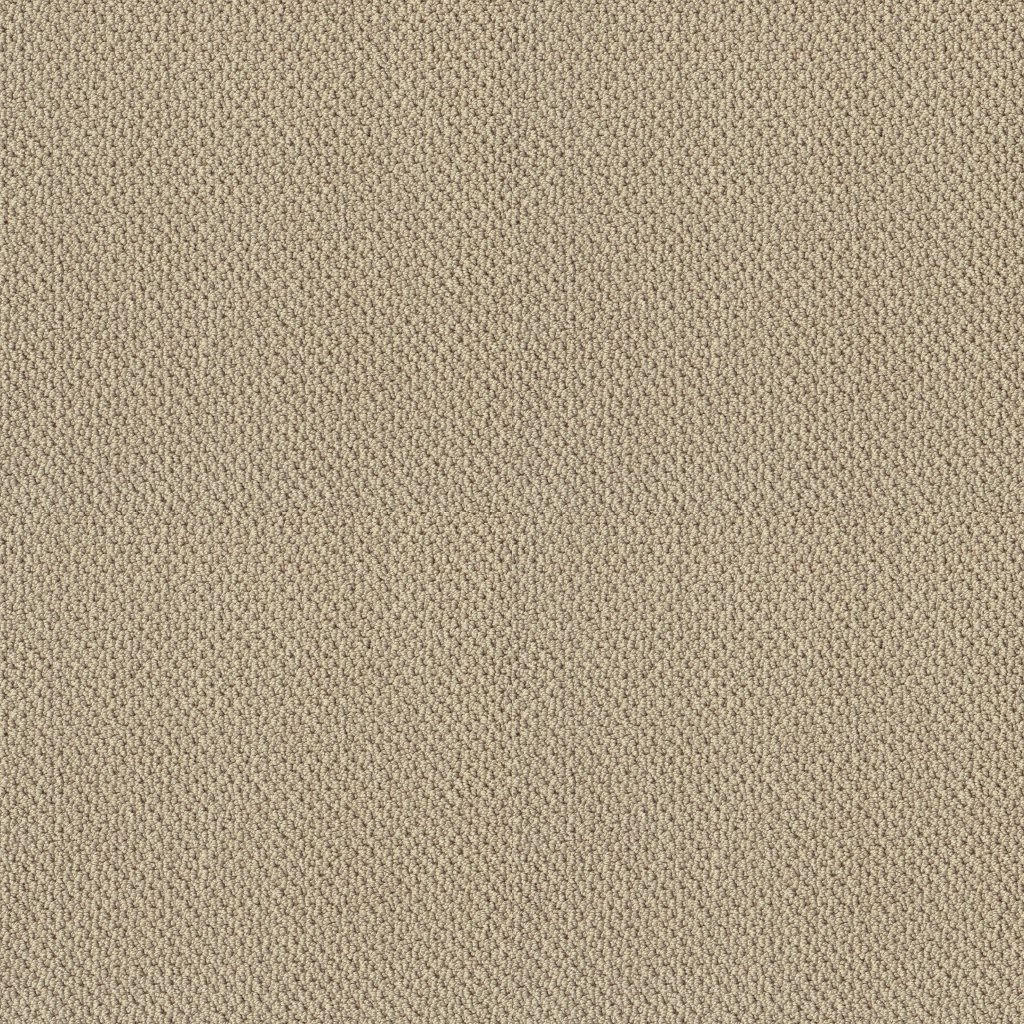 Shaw Floors Artist View Loop - French Linen