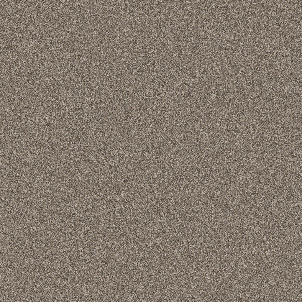 Shaw Floors Soft Radiance - Nutria