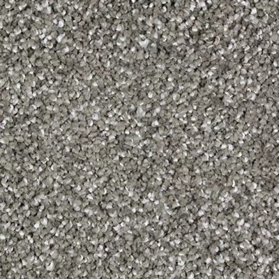 Mohawk Exquisite Tones - Opulent Grey