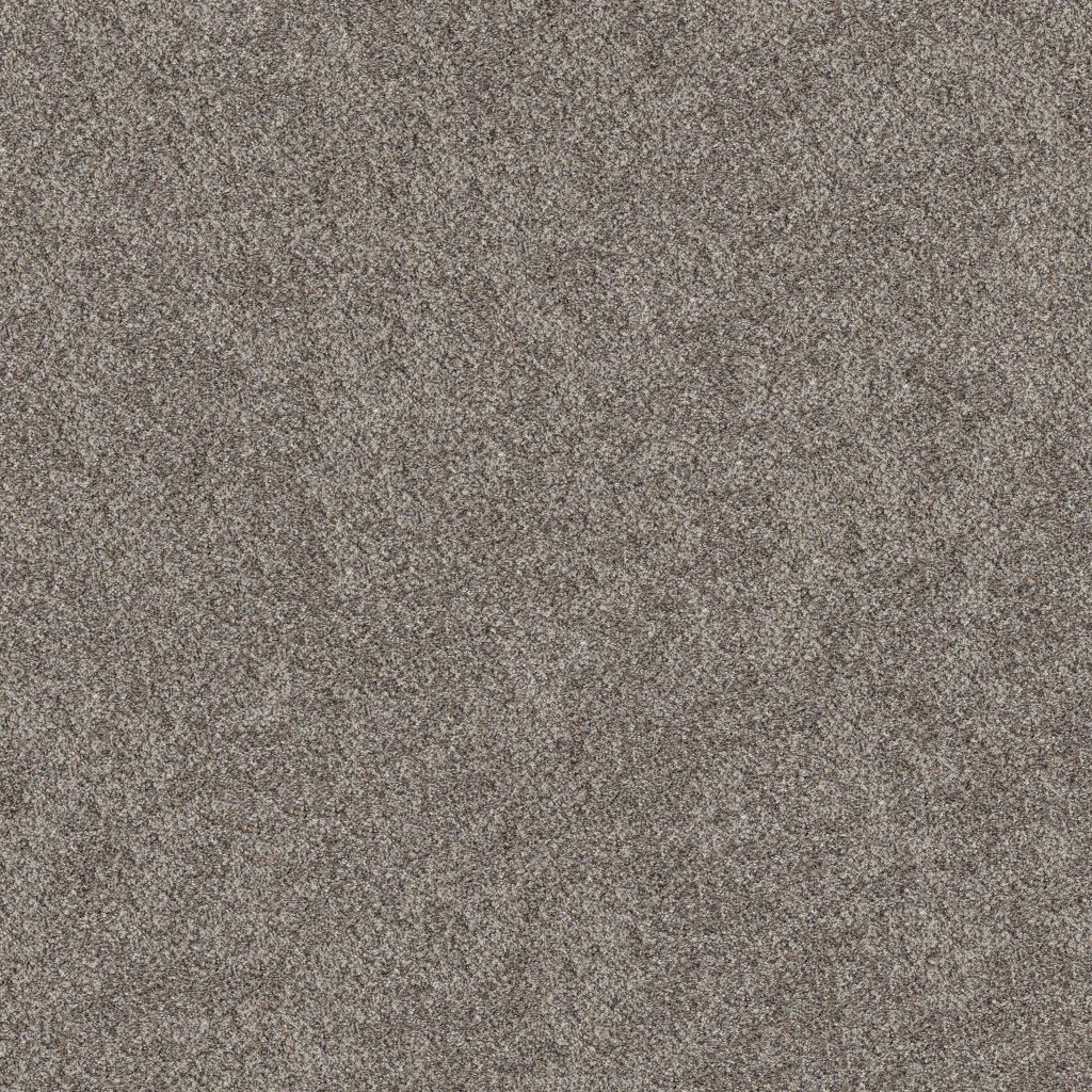 Shaw Floors Grand Outlook - Hammerhead