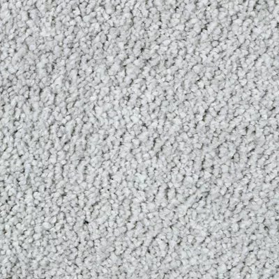 Mohawk Exquisite Beauty - Winter Ash
