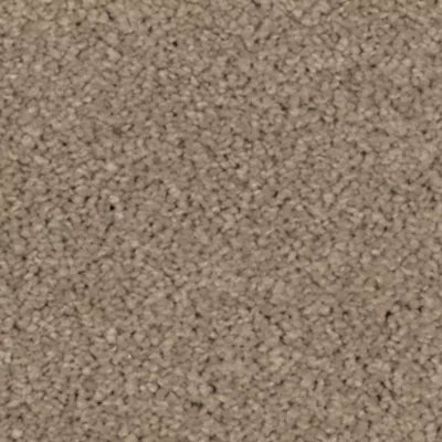 Mohawk Natural Splendor I - Urban Taupe