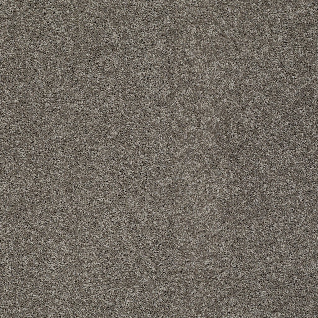 Shaw Floors Inspired By Ii - Twig