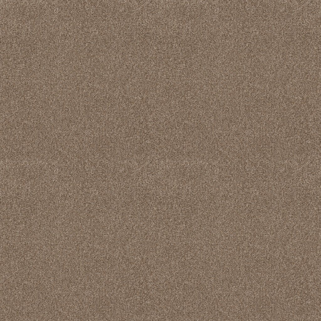 Shaw Floors Tonal Comfort Blue - Camping Trip