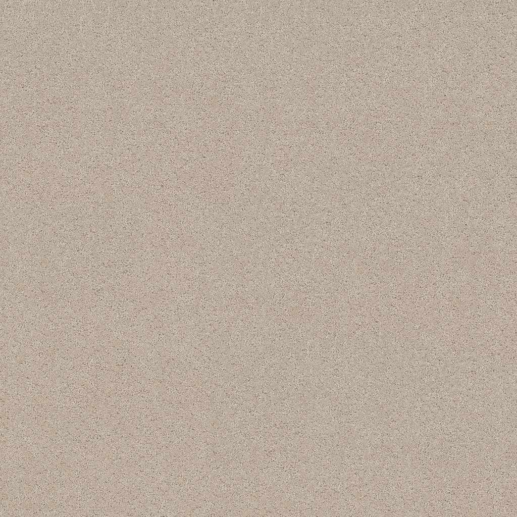 Shaw Floors Secret Adventure - Cafe Latte