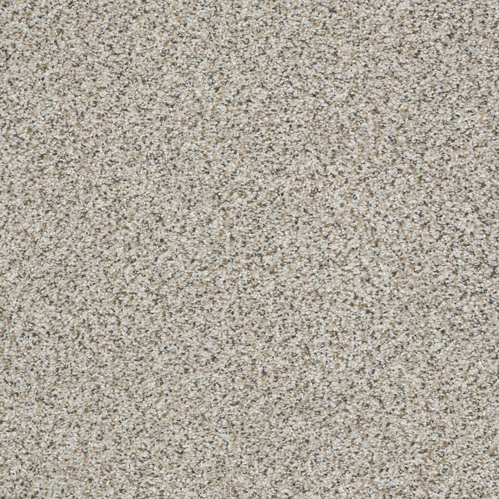 Shaw Floors Elemental Mix II - Silver Lining