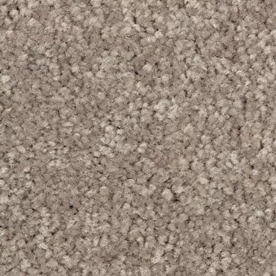 Mohawk Elegant Appeal II - Iron Rust