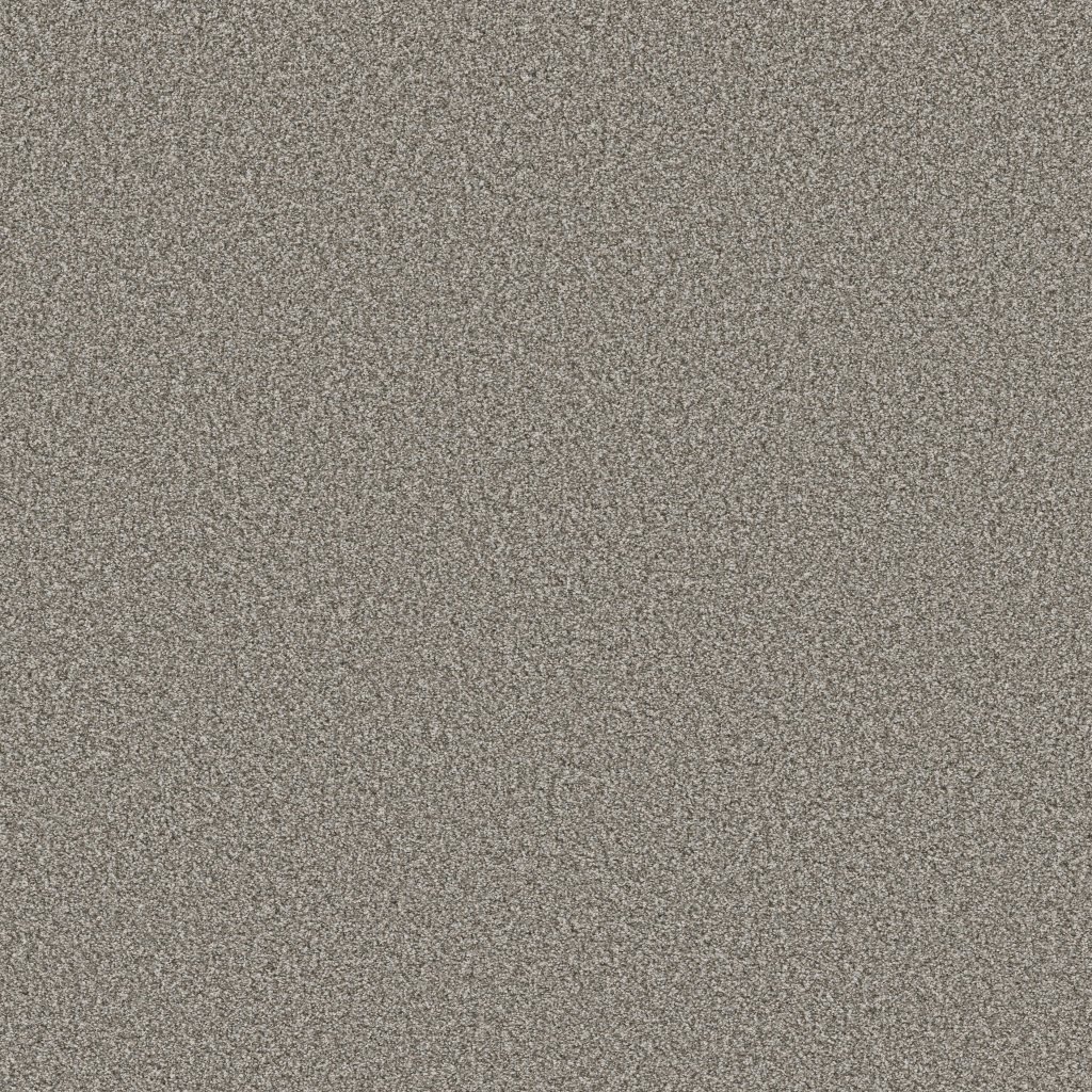 Shaw Floors Tweed Comfort II - Island Tour