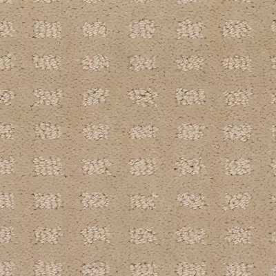 Mohawk Outstanding Artistry - Persian Silk