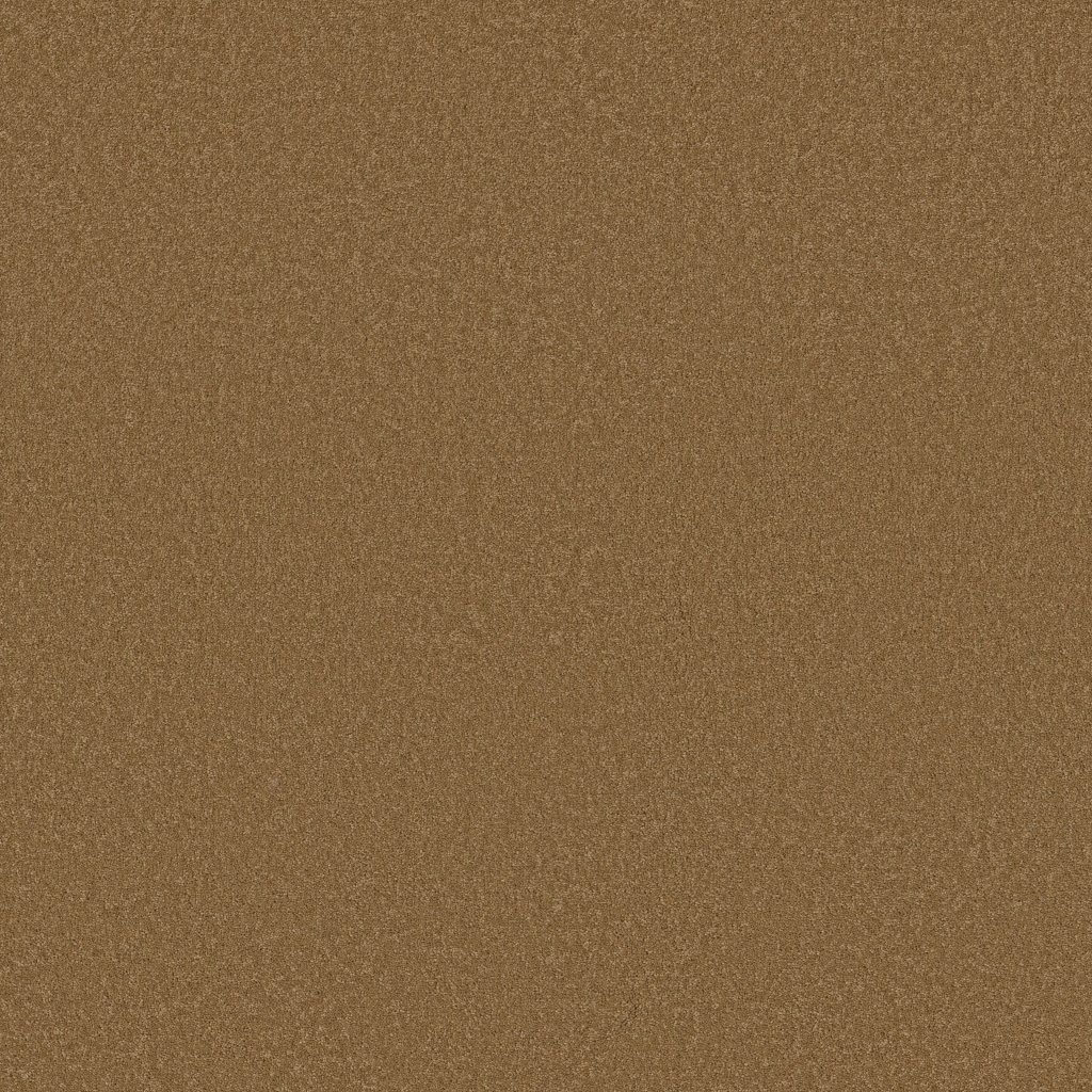 Shaw Floors Timeless Appeal I 12' - Peanut Brittle