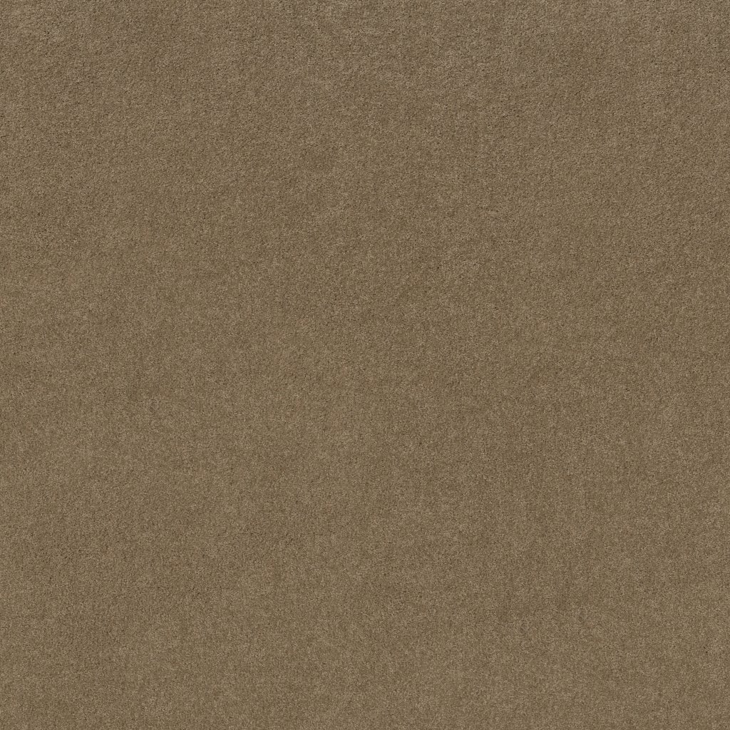 Shaw Floors Enduring Comfort I - Twig
