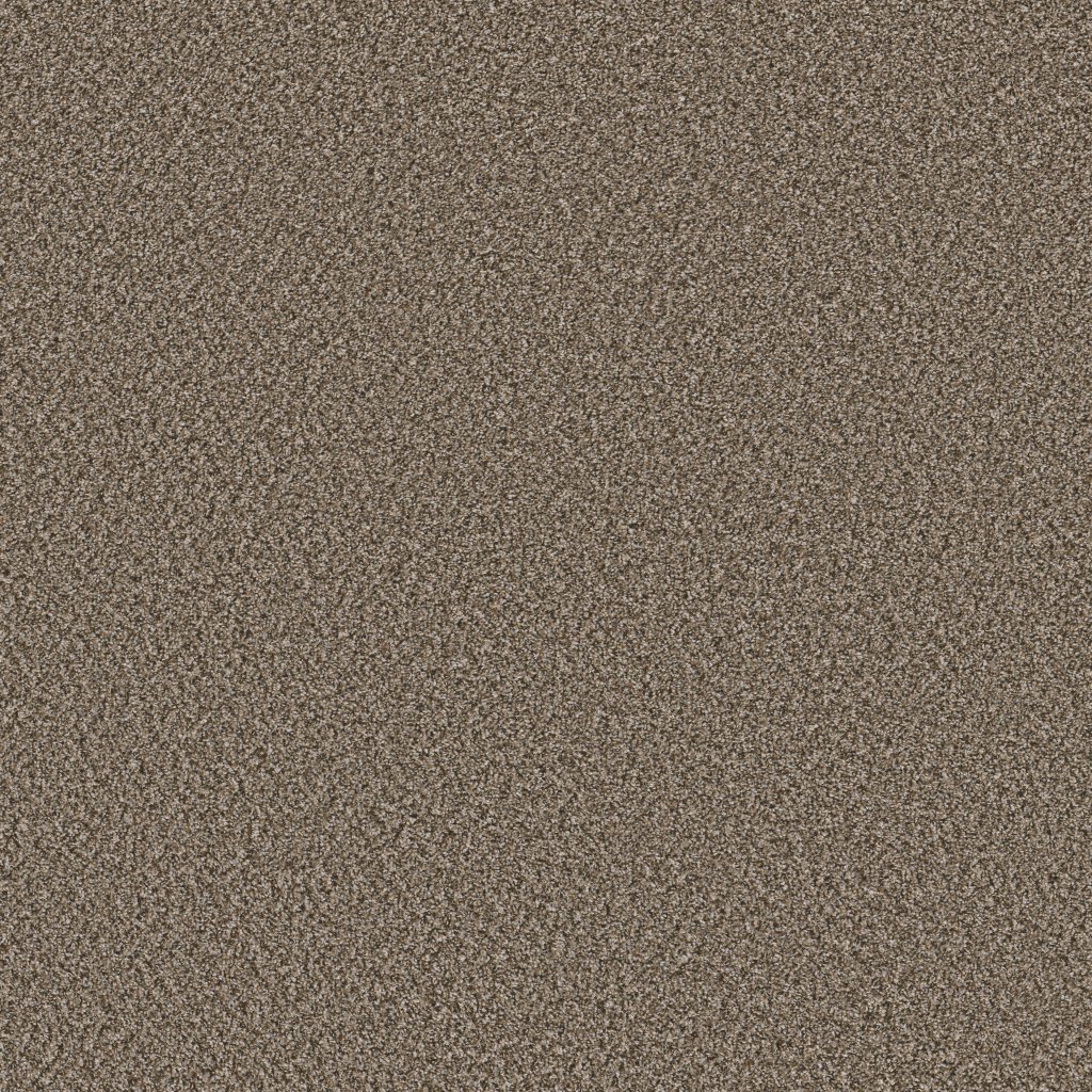 Shaw Floors Soft Radiance - Mocha Latte'