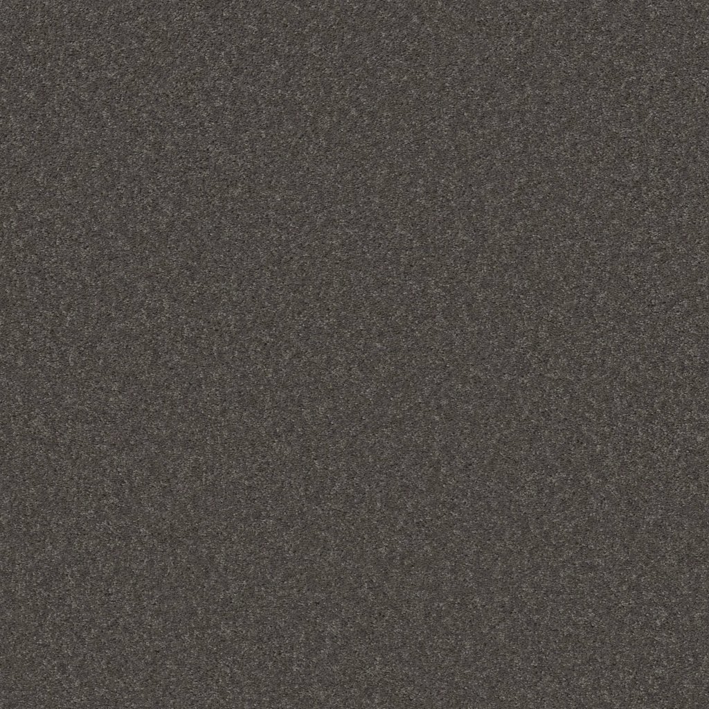 Shaw Floors THAT'S RIGHT - Marble Gray