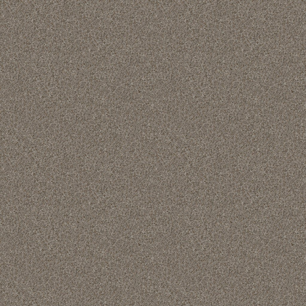 Shaw Floors Cabana Life (B) - Granite