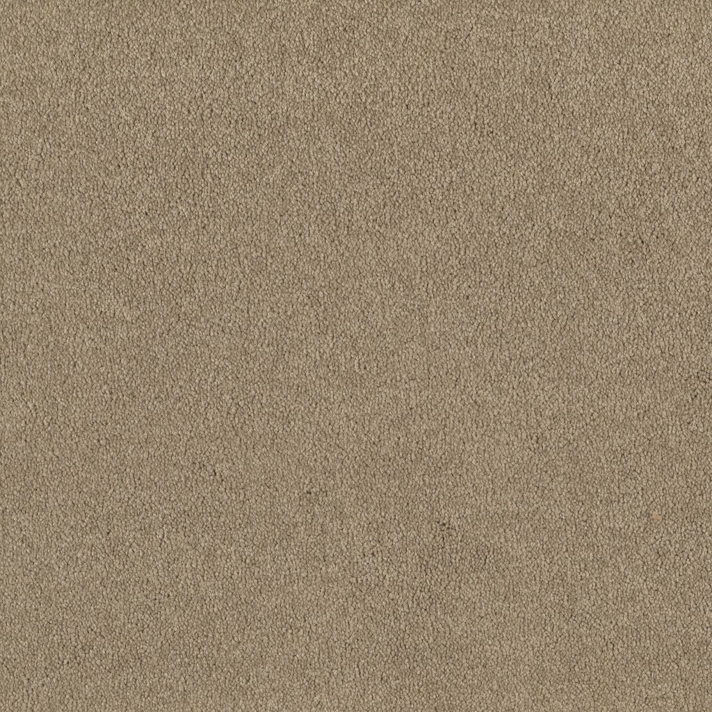 Shaw Floors Timeless Appeal III 12' - London Fog