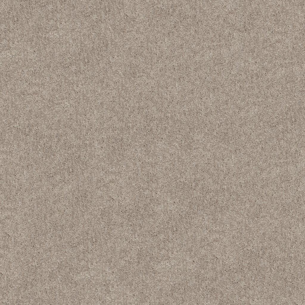 Shaw Floors Hot Topic - Bare Mineral
