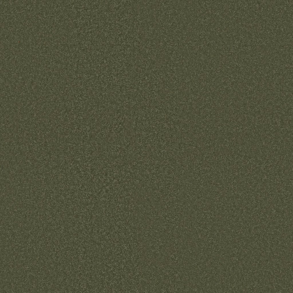Shaw Floors Ultimate Expression 15' - Alpine Fern