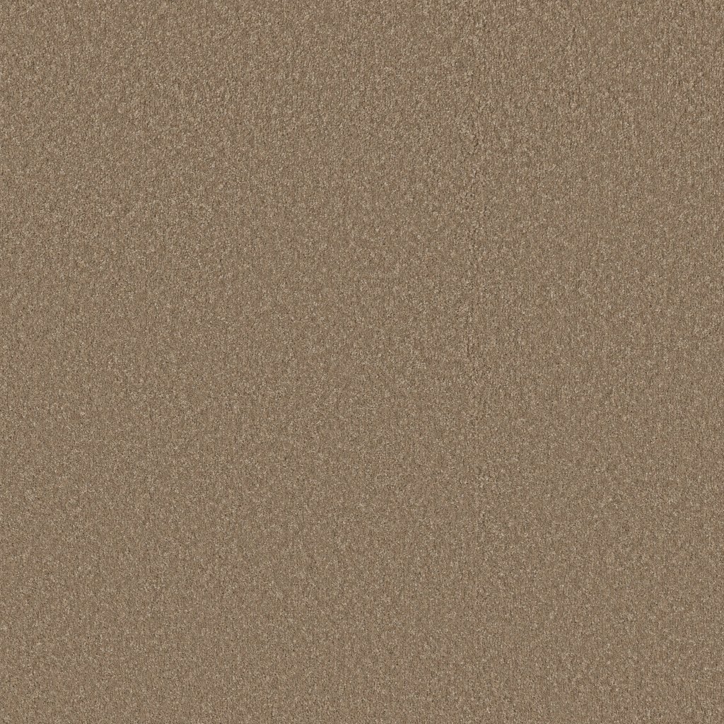 Shaw Floors Way To Go III - Polo Tan