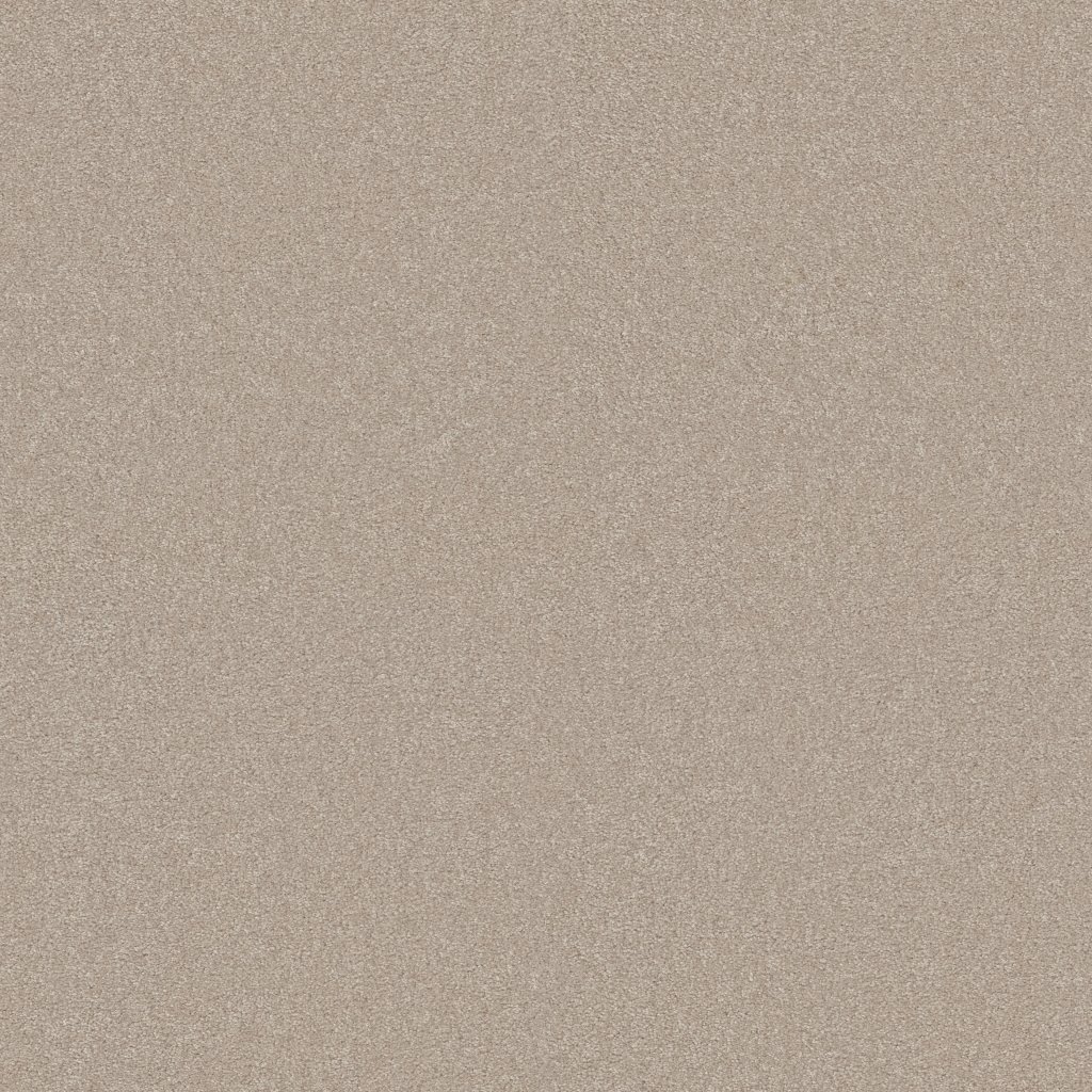 Shaw Floors YOU KNOW IT - Linen
