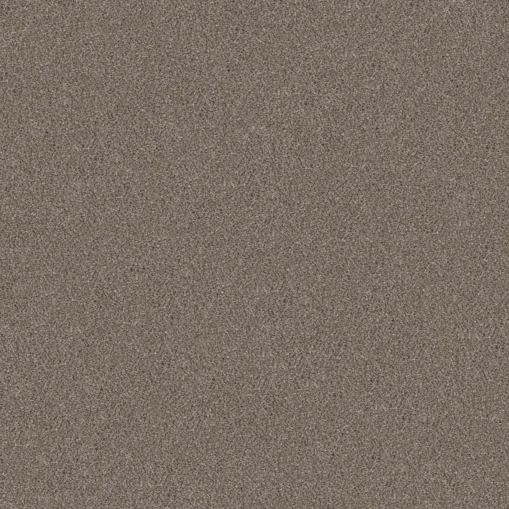 Shaw Floors Without Limits III - Saddle Tan