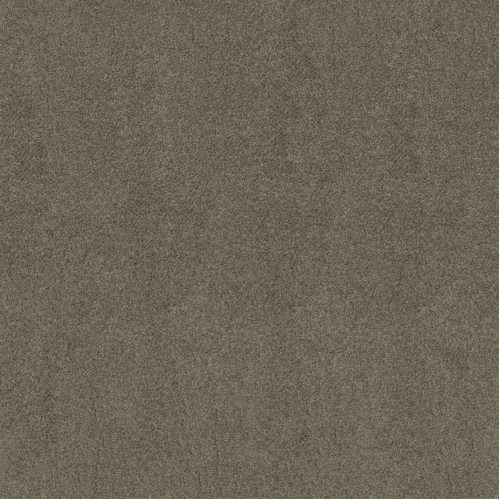 Shaw Floors Enduring Comfort I - Grey Flannel