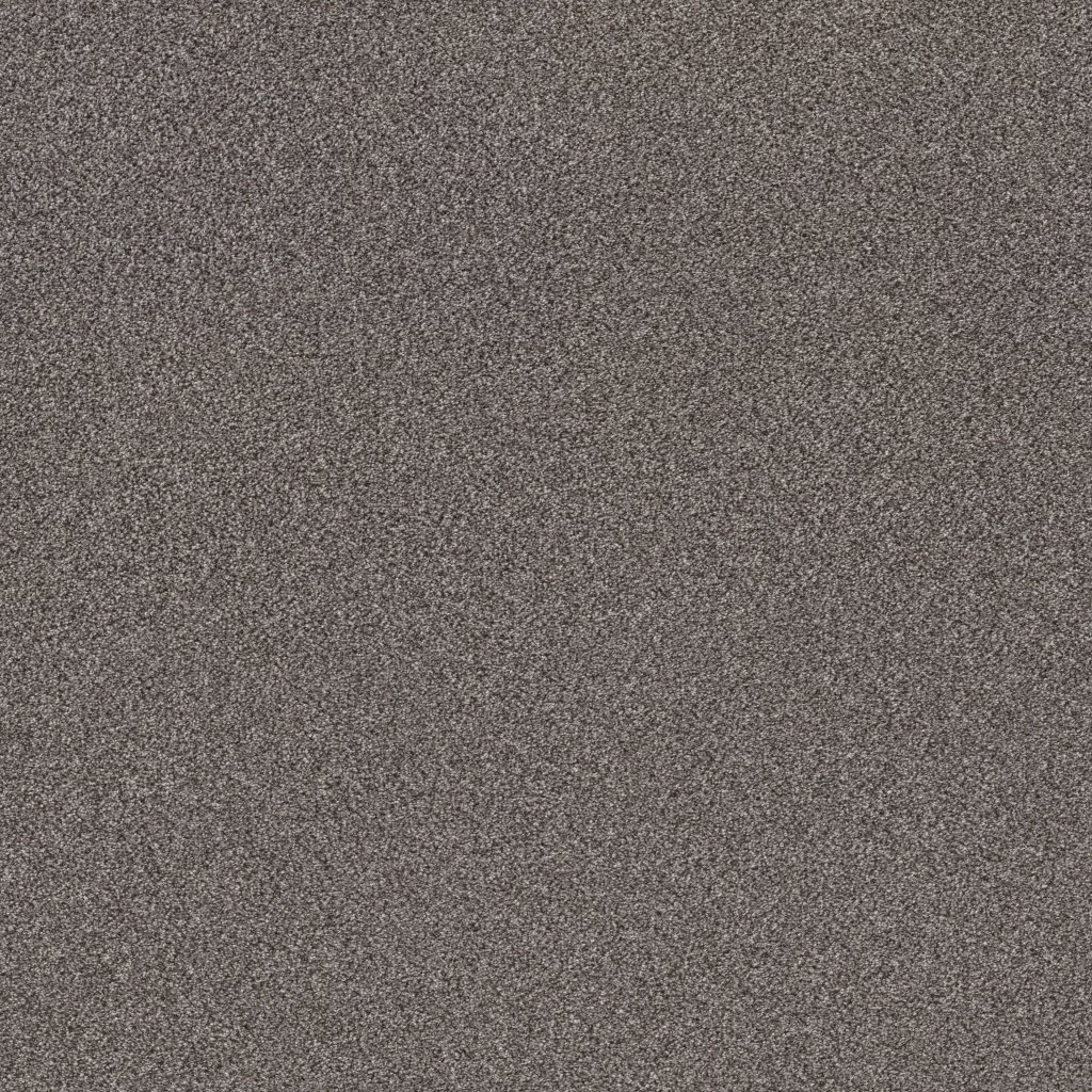 Shaw Floors Trusplendor - Quarry
