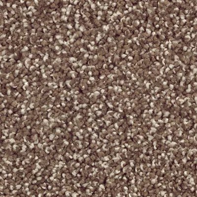 Mohawk Stonington Manor II - Dried Peat