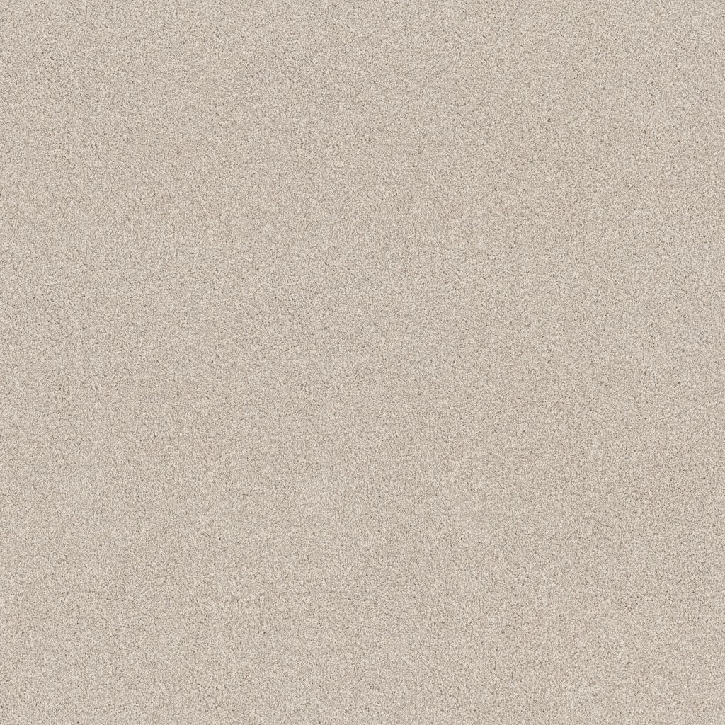 Shaw Floors Tonal Comfort I - Champagne Toast