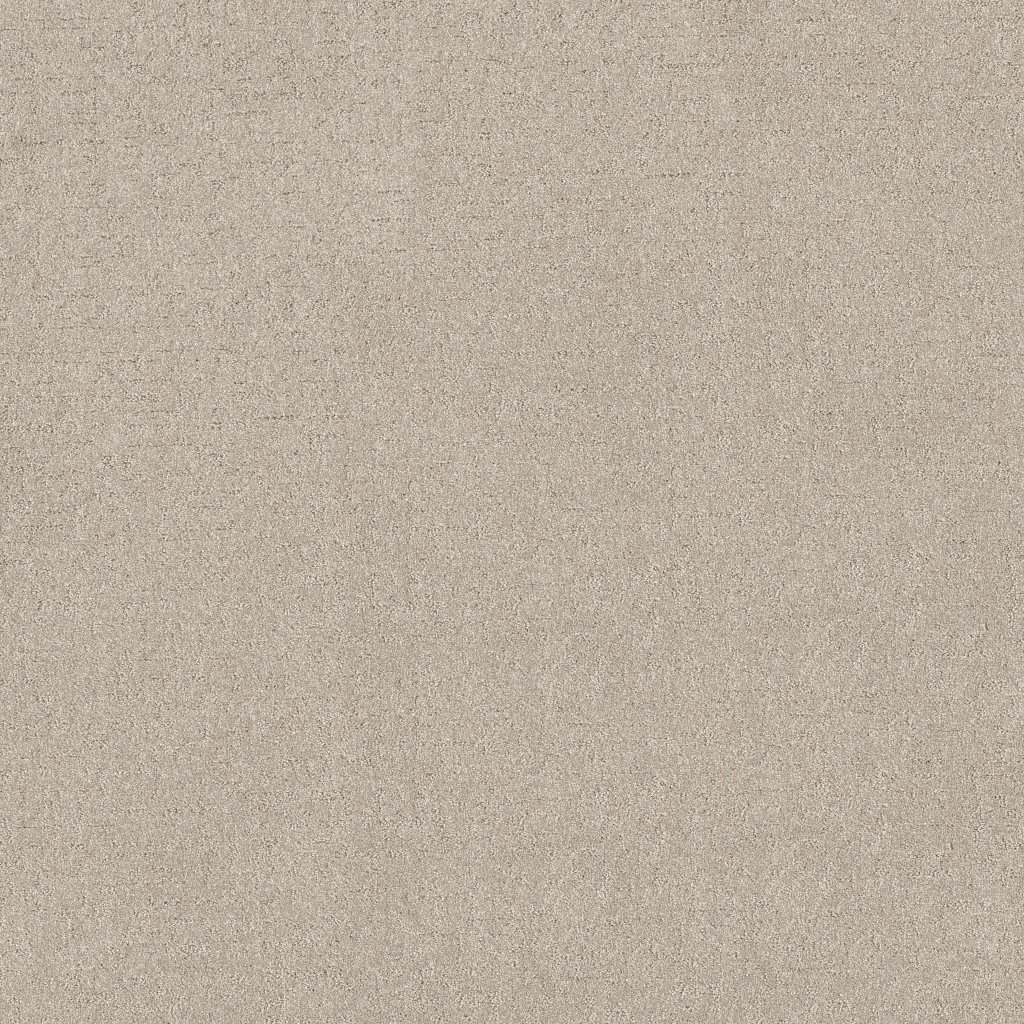 Shaw Floors Secret Destination - Beige Mist