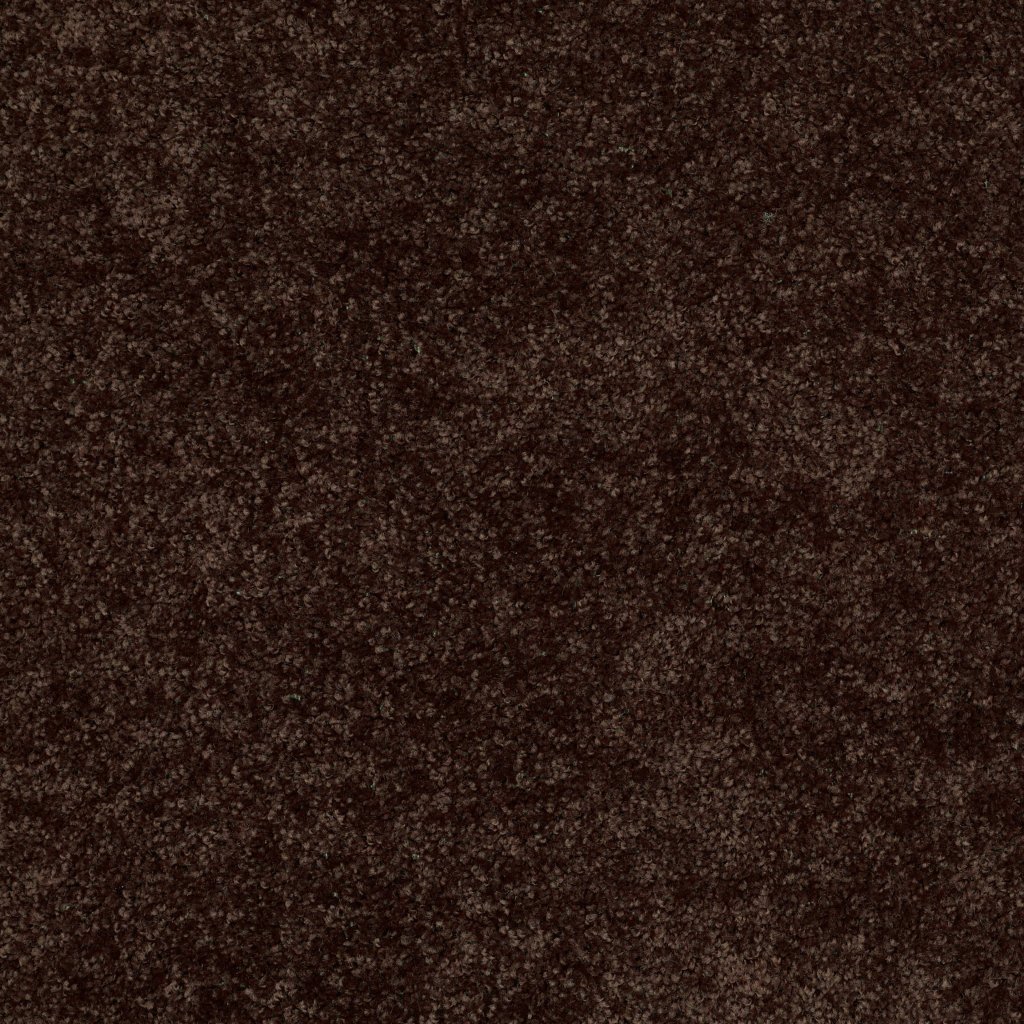 Shaw Floors Royal Portrush I 15' - Coffee Bean
