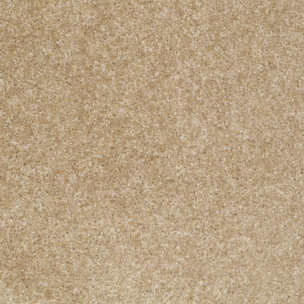 Shaw Floors Jet Set - Leather