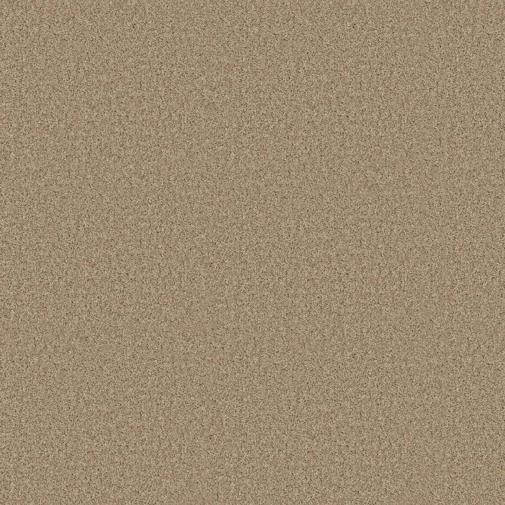 Shaw Floors Enduring Comfort I - Clay Stone