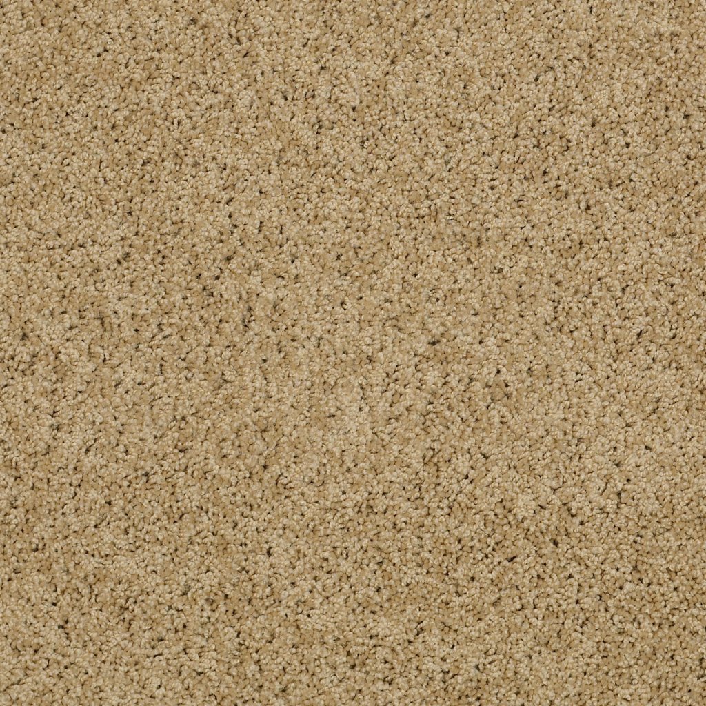 Shaw Floors Inspired By Ii - Taffeta