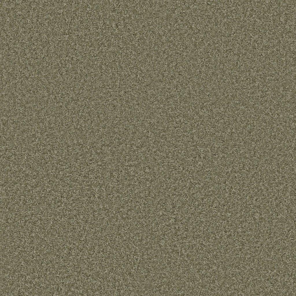 Shaw Floors Vitalize (S) 12' - Ivy Gate