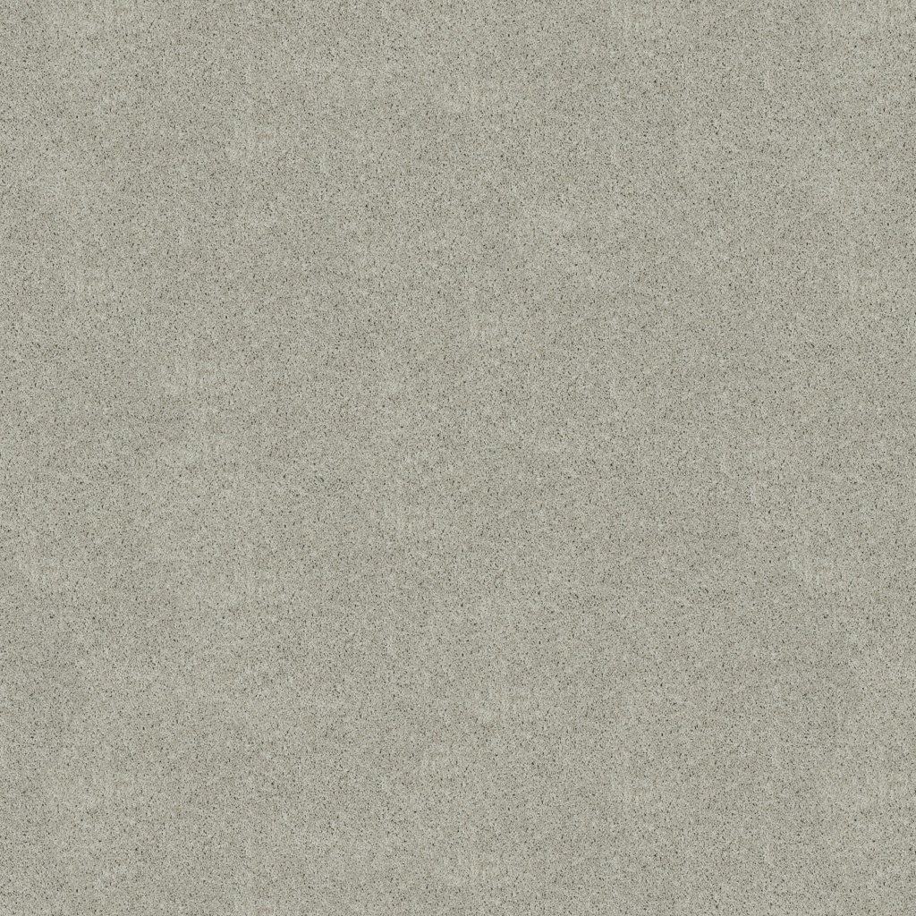 Shaw Floors Inspired By III - Textured Canvas