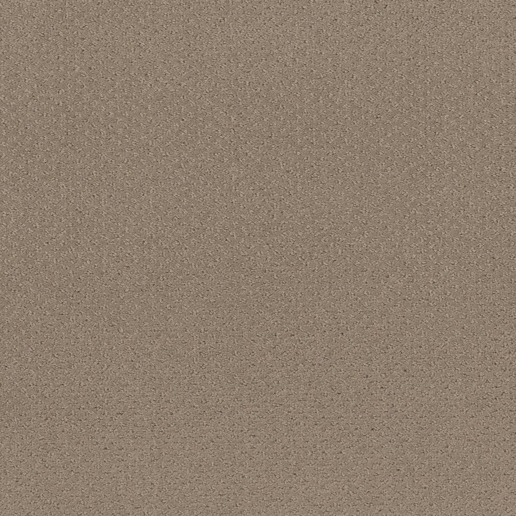 Shaw Floors Mainstay - Desert View