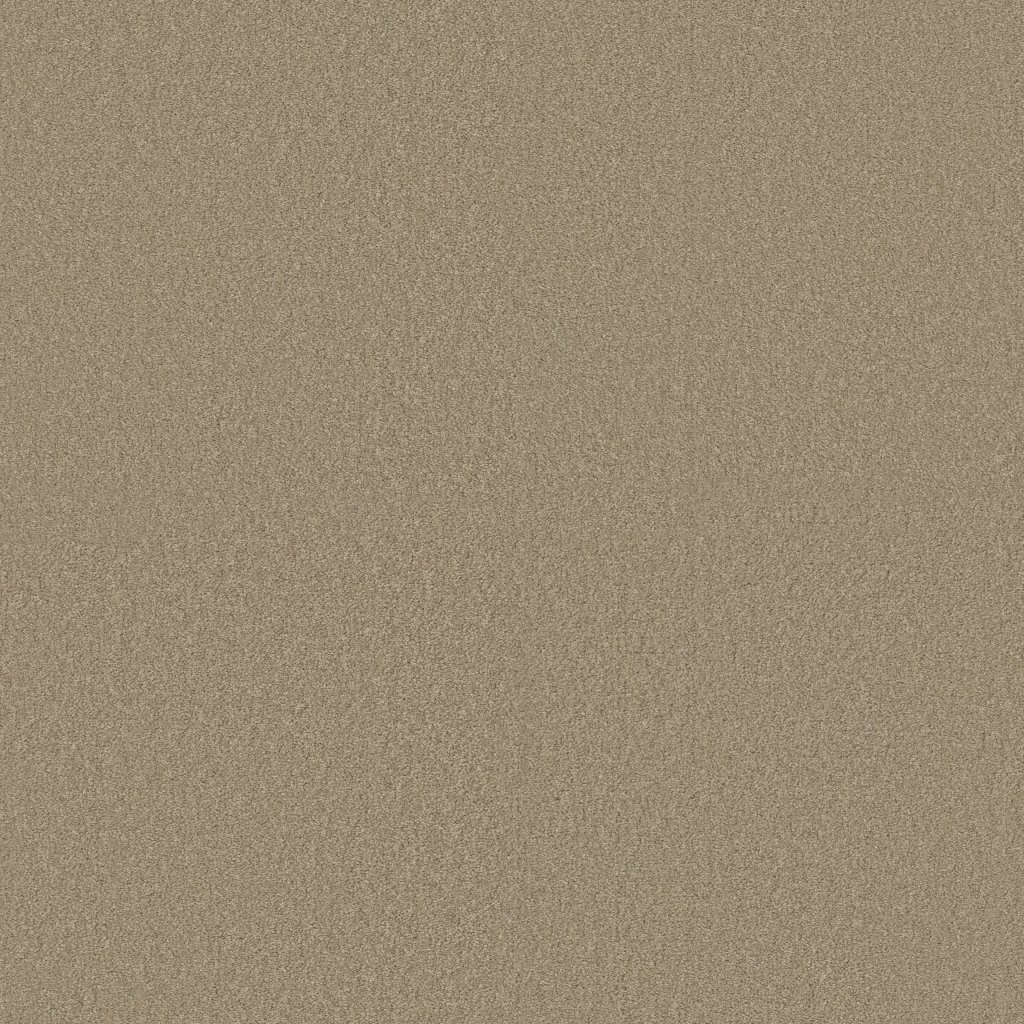 Shaw Floors Ultimate Expression 15' - Soft Shadow