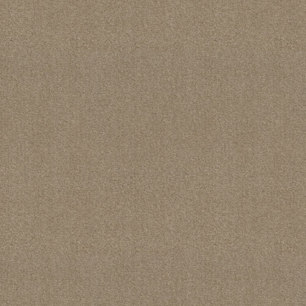 Shaw Floors THIS IS IT PLUS - Adobe