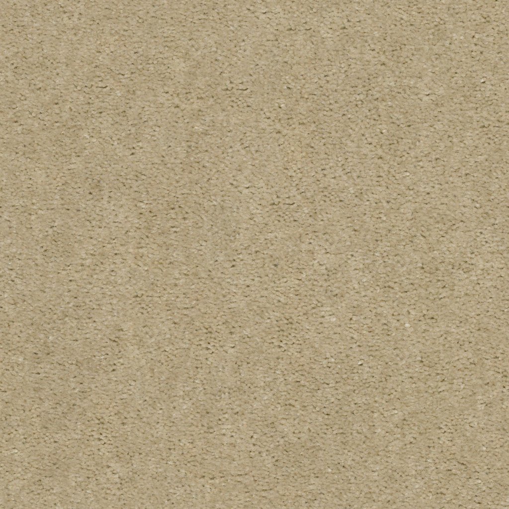 Shaw Floors THIS IS IT PLUS - Desert Breeze