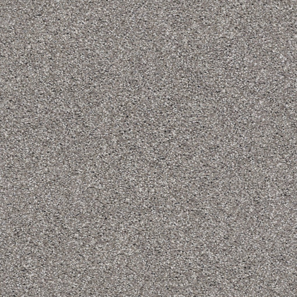 Shaw Floors Suave - Tree Trunk