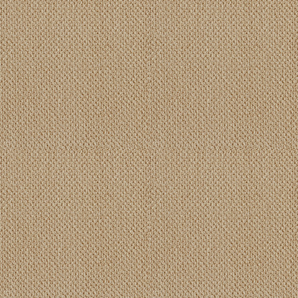 Shaw Floors Artist View Loop - Clay Stone