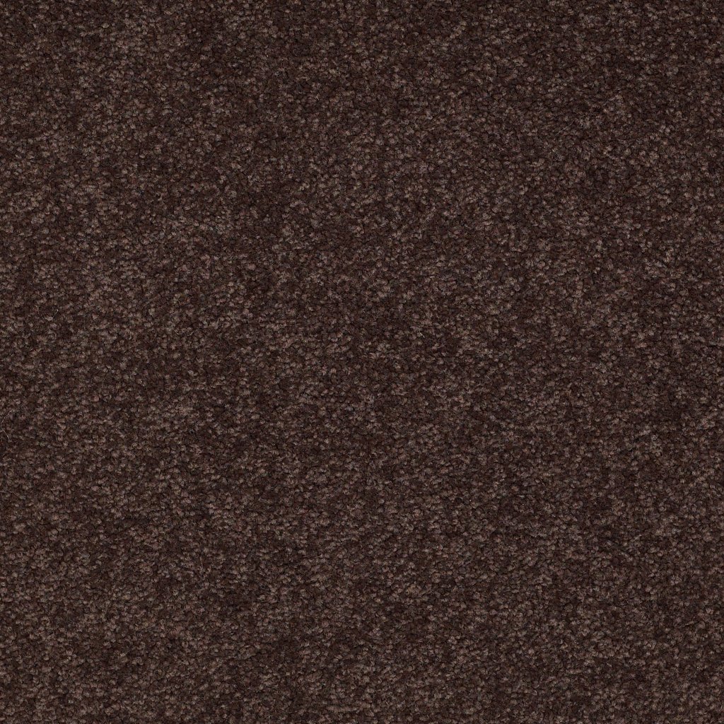 Shaw Floors Ultimate Expression 12' - Tundra