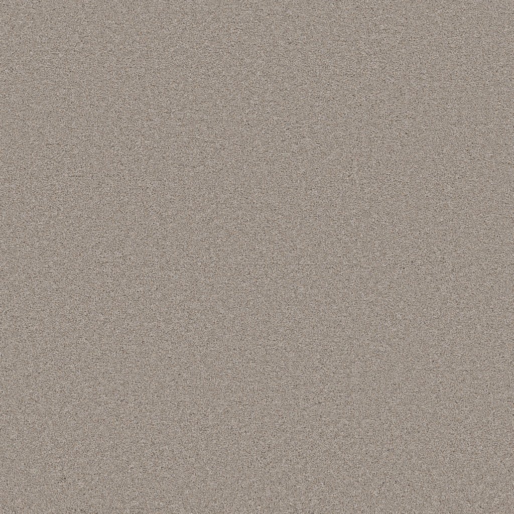 Shaw Floors Blended Touch II - Fusion