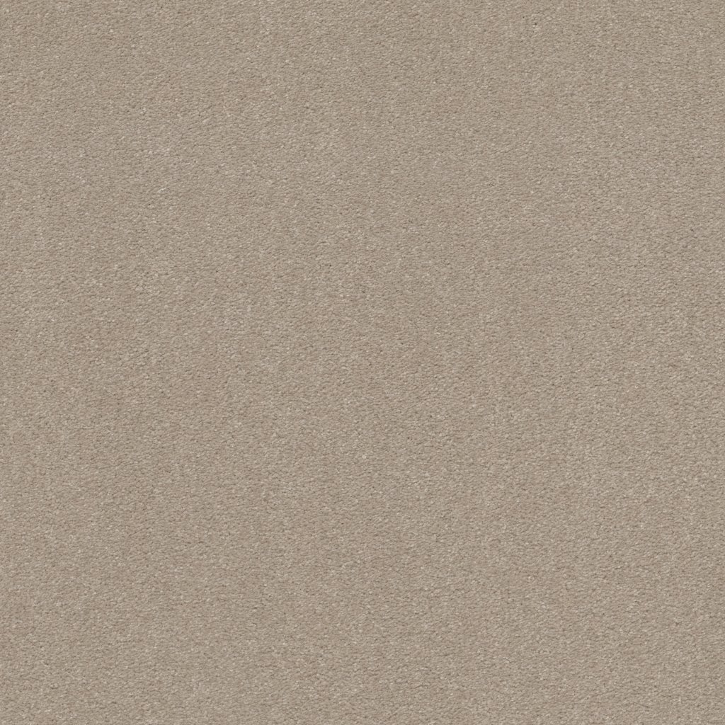 Shaw Floors WELL GROUNDED I 15 - Dreamy