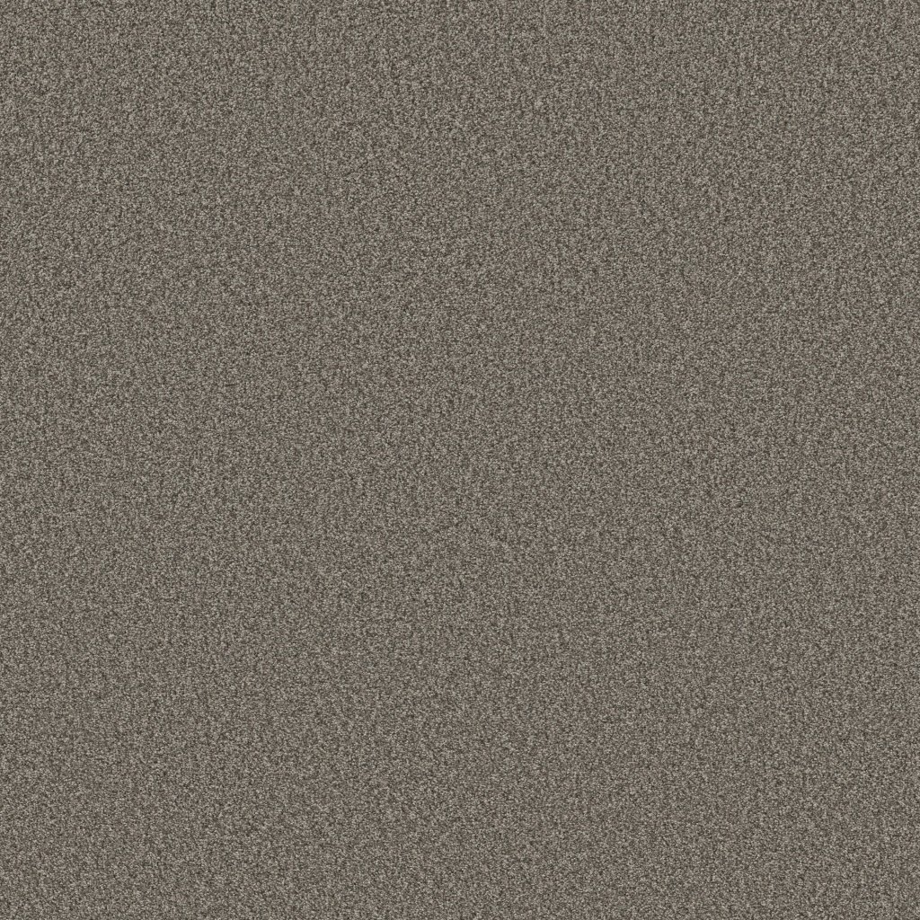 Shaw Floors Tonal Comfort II - French Market