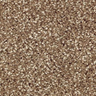 Mohawk Natural Refinement I - Rich Earth