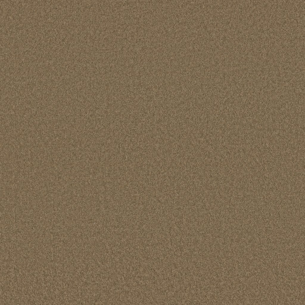 Shaw Floors Timeless Appeal III 12' - Seascape