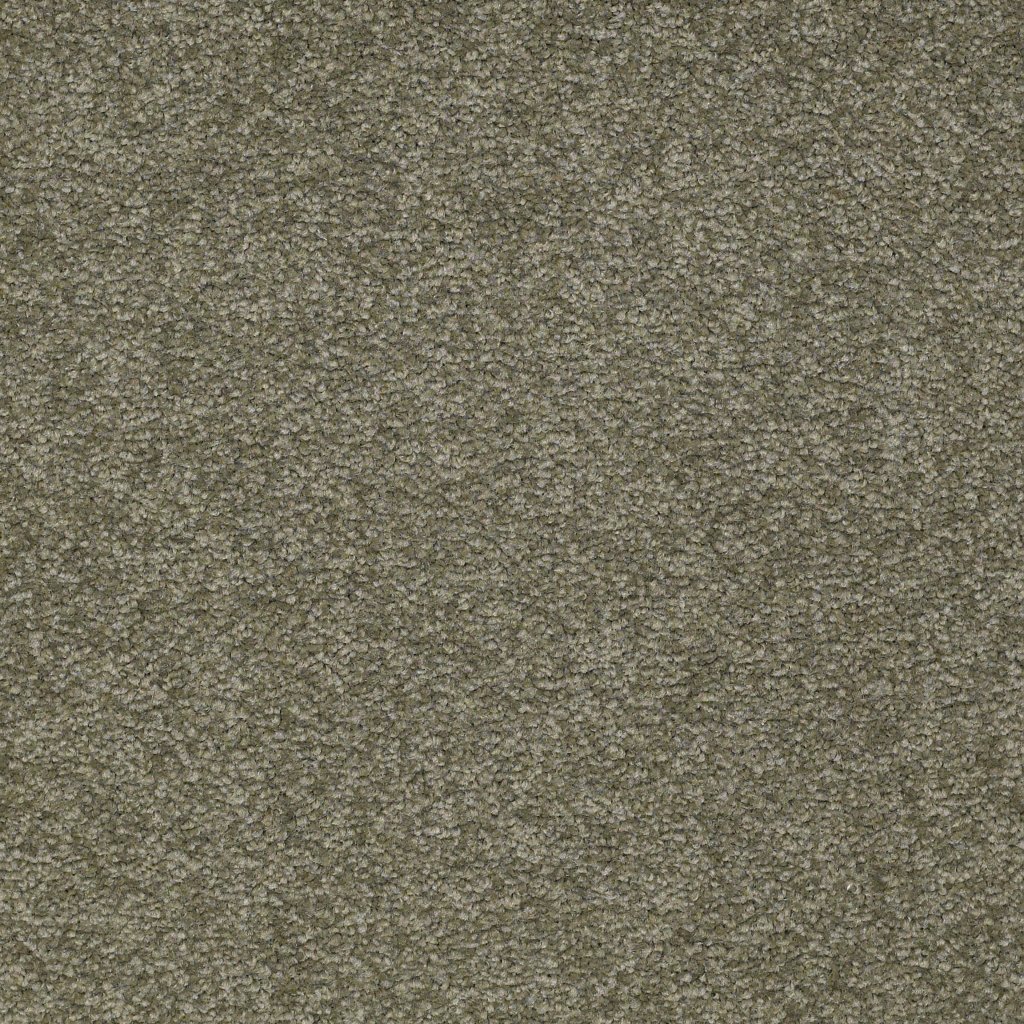 Shaw Floors Ultimate Expression 12' - Alpine Fern