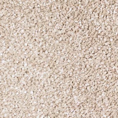 Mohawk Exquisite Tones - Victorian Beige