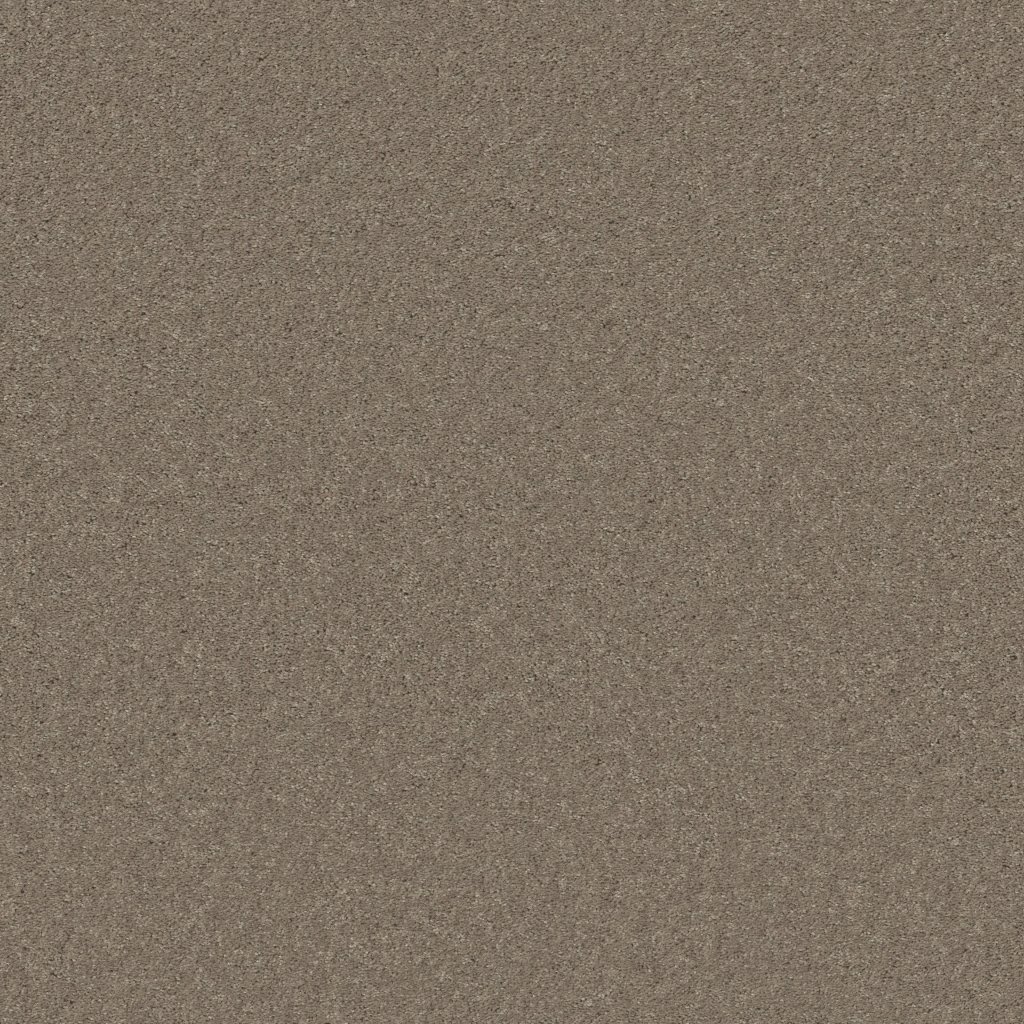 Shaw Floors Well Played I 15' - Wild Rice